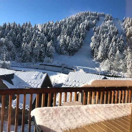 Appartement Aux Pieds Des Pistes De Ski Laveissiere Ngoại thất bức ảnh