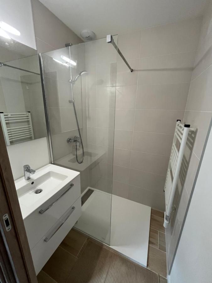 Appartement Aux Pieds Des Pistes De Ski Laveissiere Ngoại thất bức ảnh