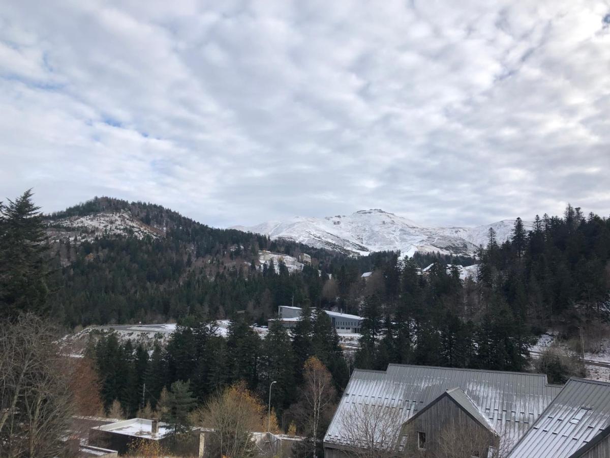 Appartement Aux Pieds Des Pistes De Ski Laveissiere Ngoại thất bức ảnh