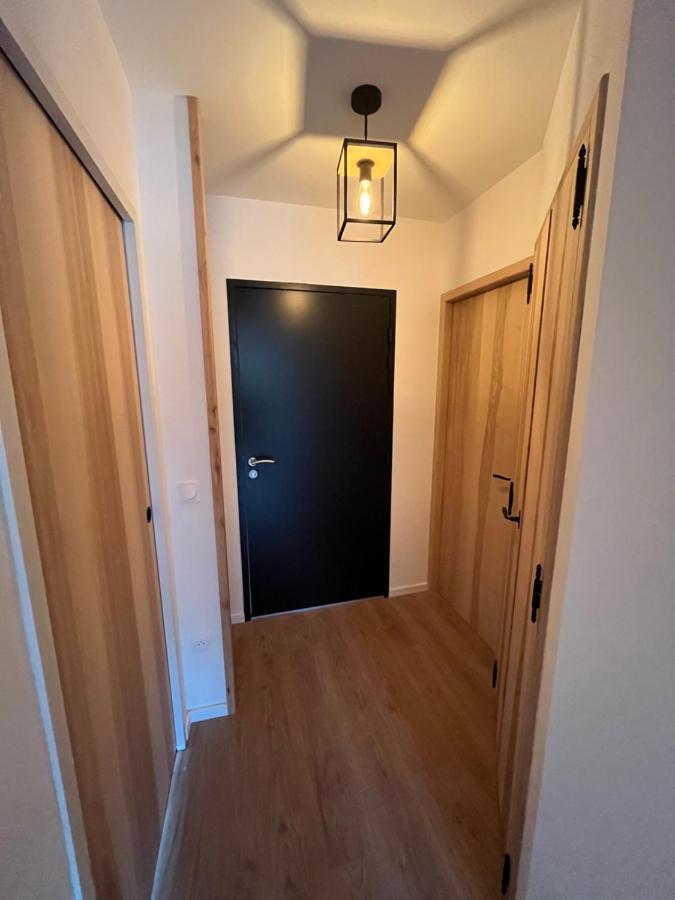 Appartement Aux Pieds Des Pistes De Ski Laveissiere Ngoại thất bức ảnh
